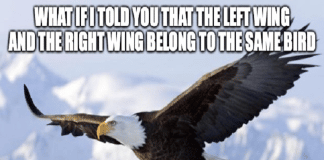 Posicionamento político: Esquerda e Direita Direita e esquerda