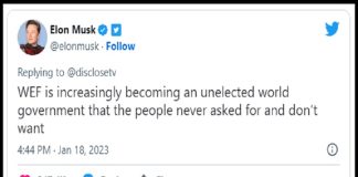 Elon Musk: Uma no cravo, outra na ferradura Elon Musk - Forum Economico Mundial